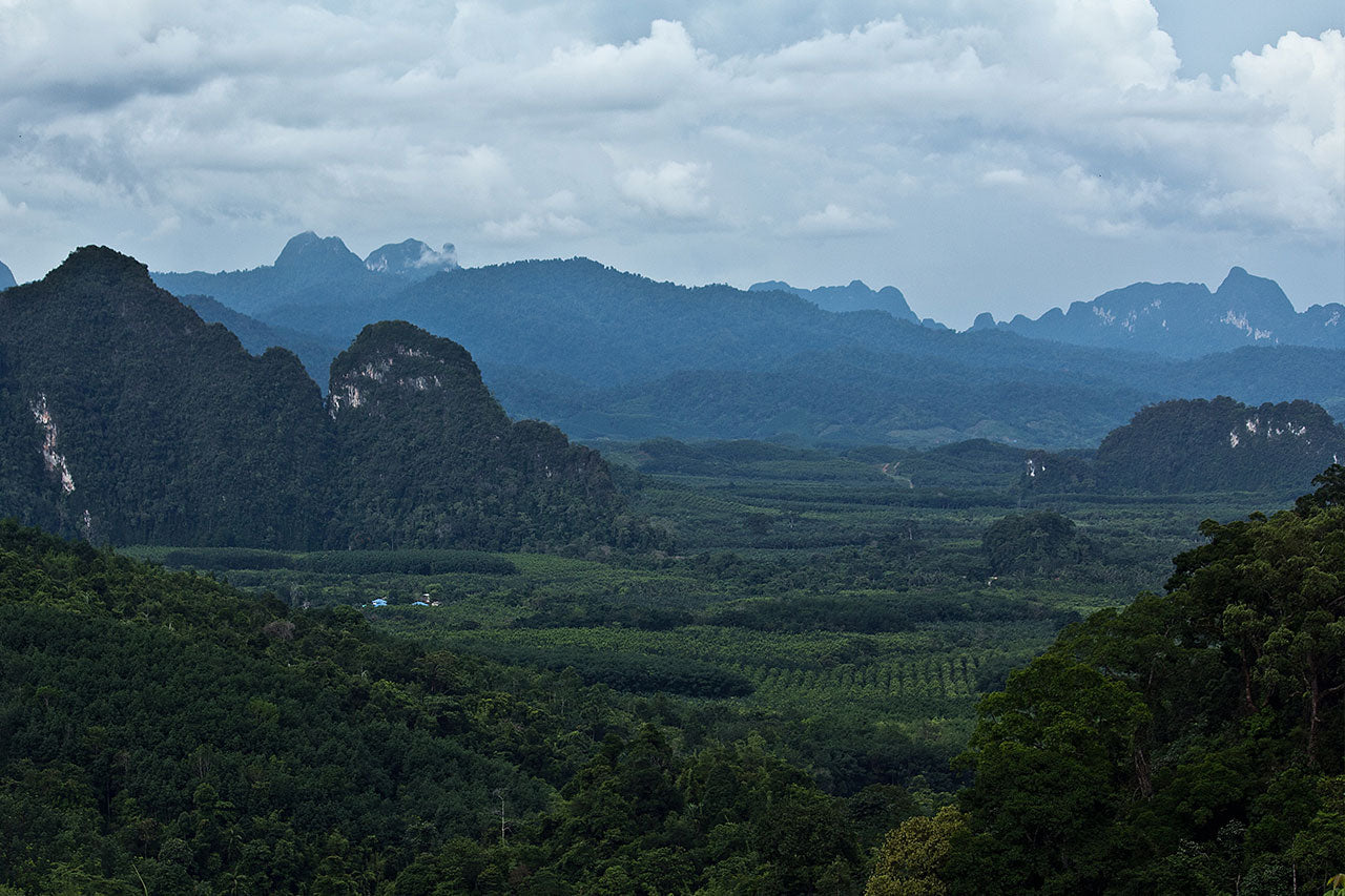 Journée à Khaosok - 1 Day Trip Khao Sok Discovery