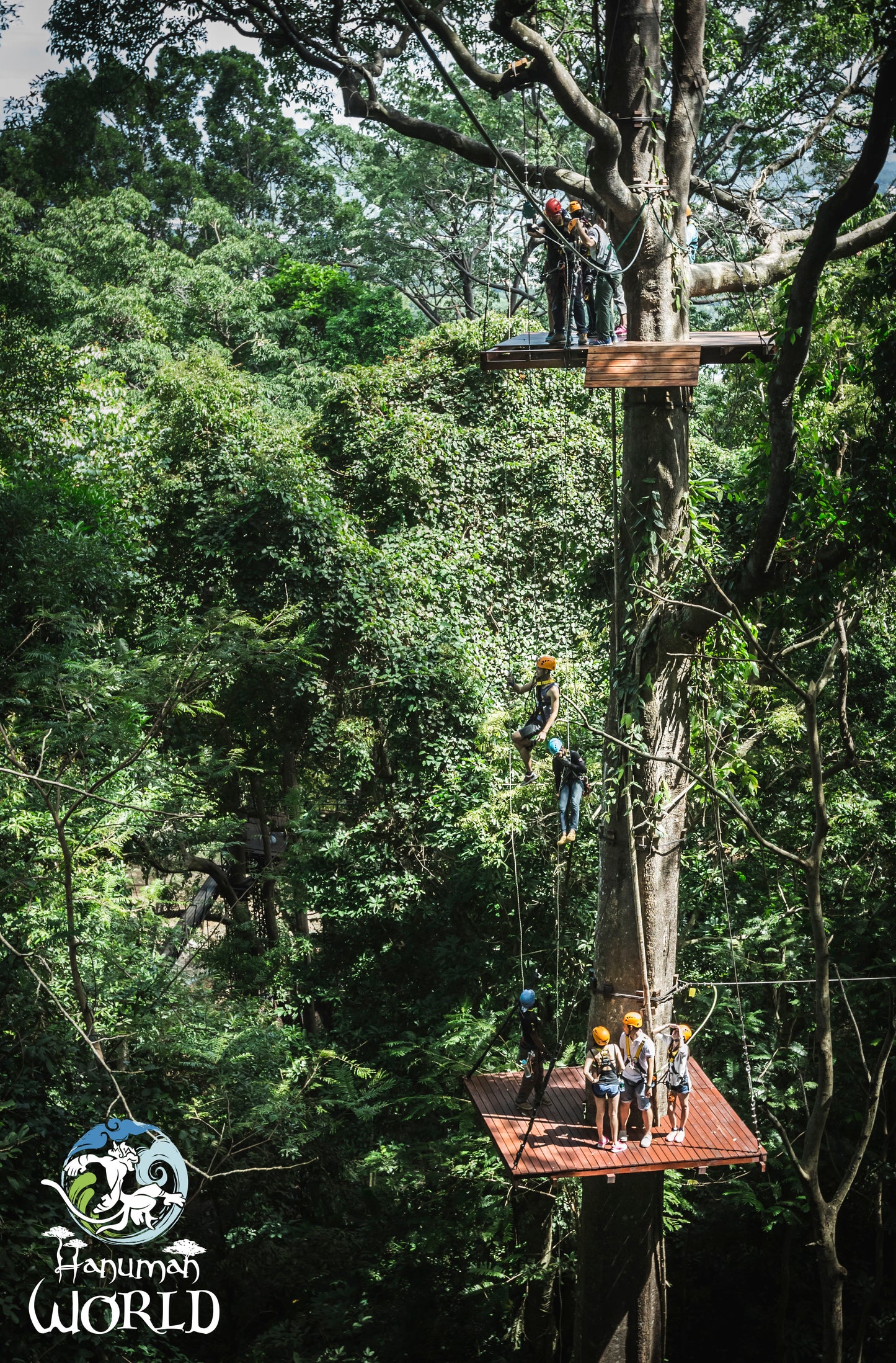 Aventure en Accrobranche