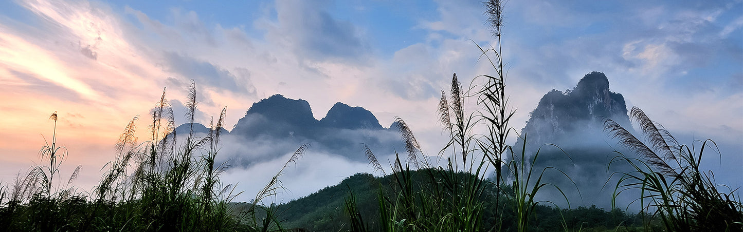 VOYAGE À KHAO SOK & PROMENADE SUR LE LAC DE CHEOW LAN LAKE 3J/2N