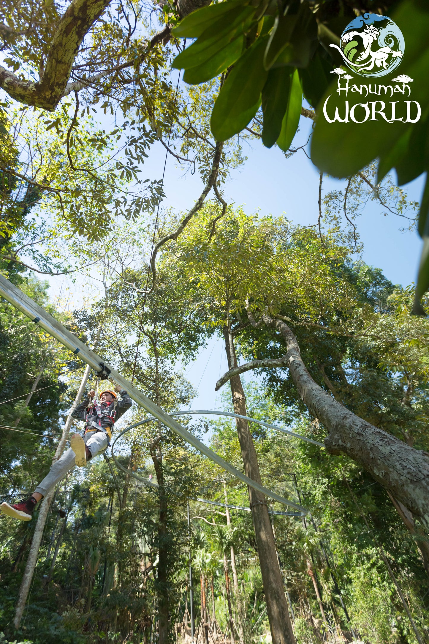 Aventure en Accrobranche