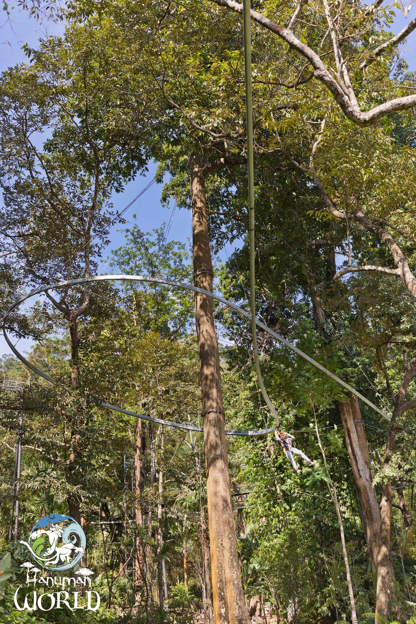Aventure en Accrobranche