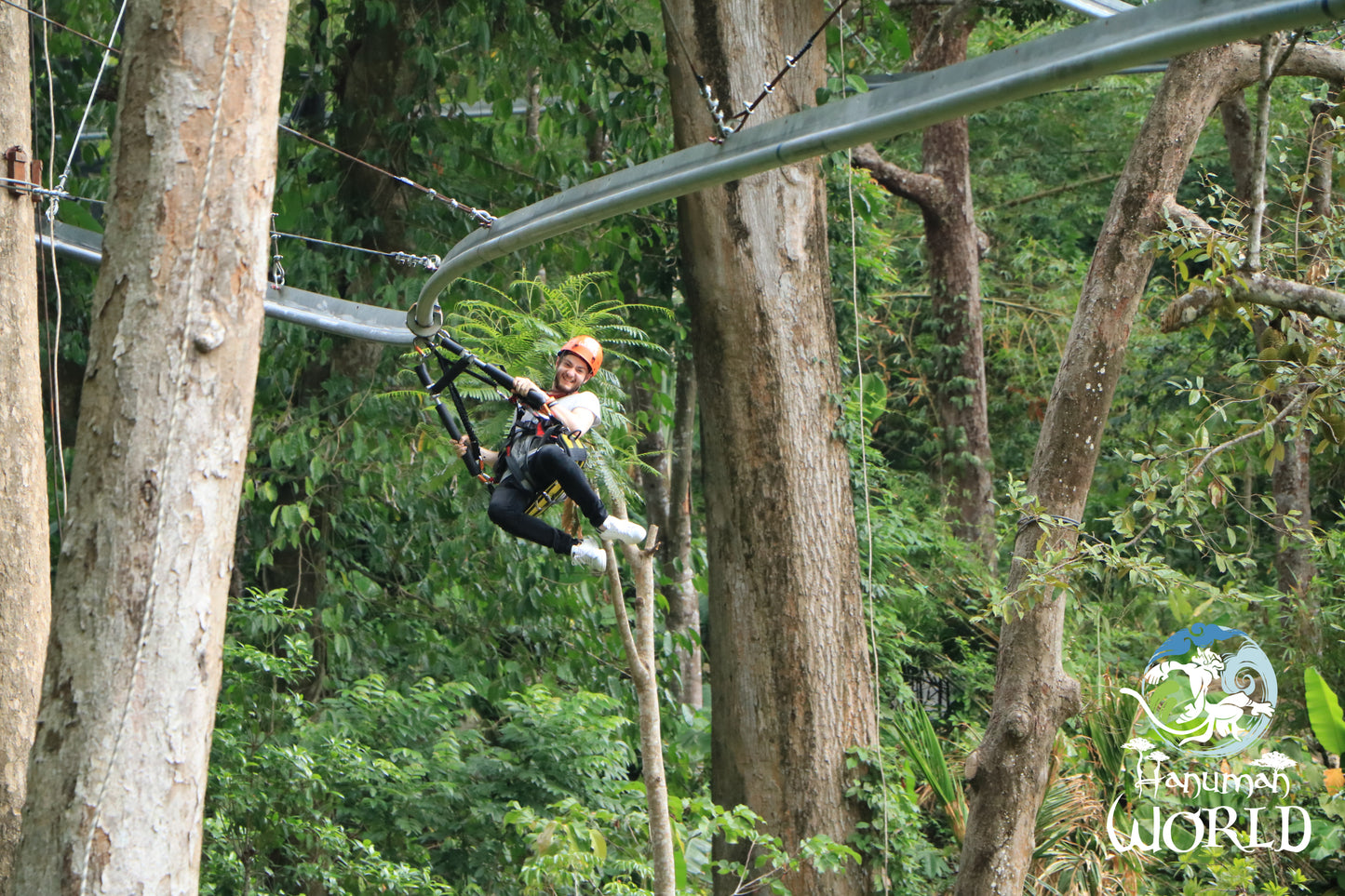 Aventure en Accrobranche