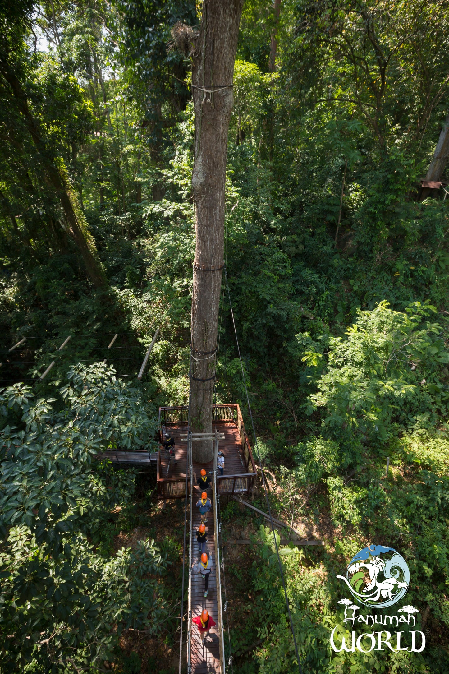 Aventure en Accrobranche