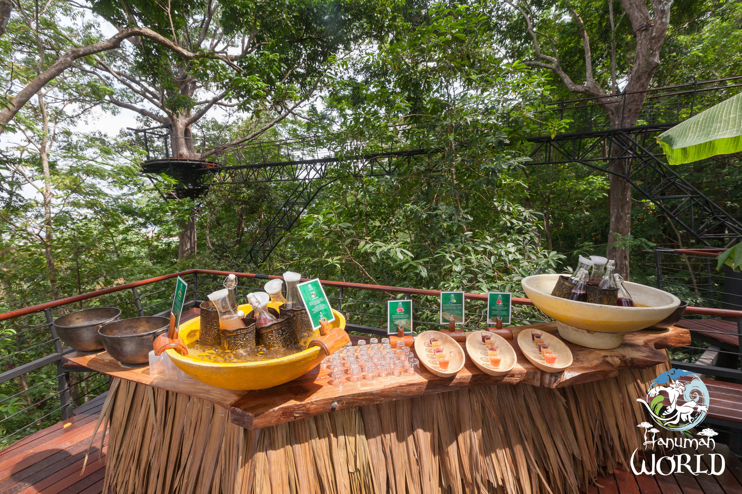 Aventure en Accrobranche