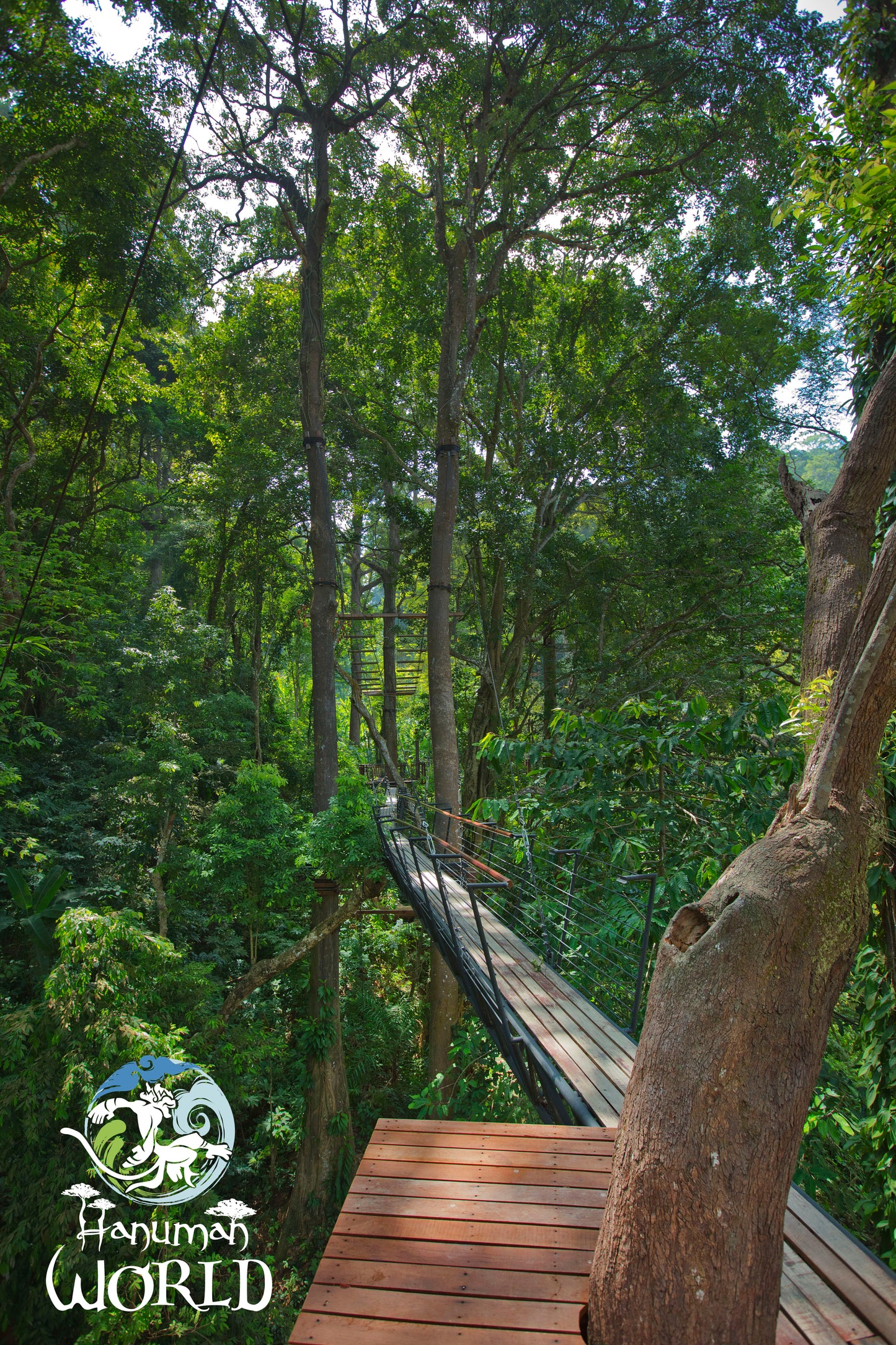 Aventure en Accrobranche