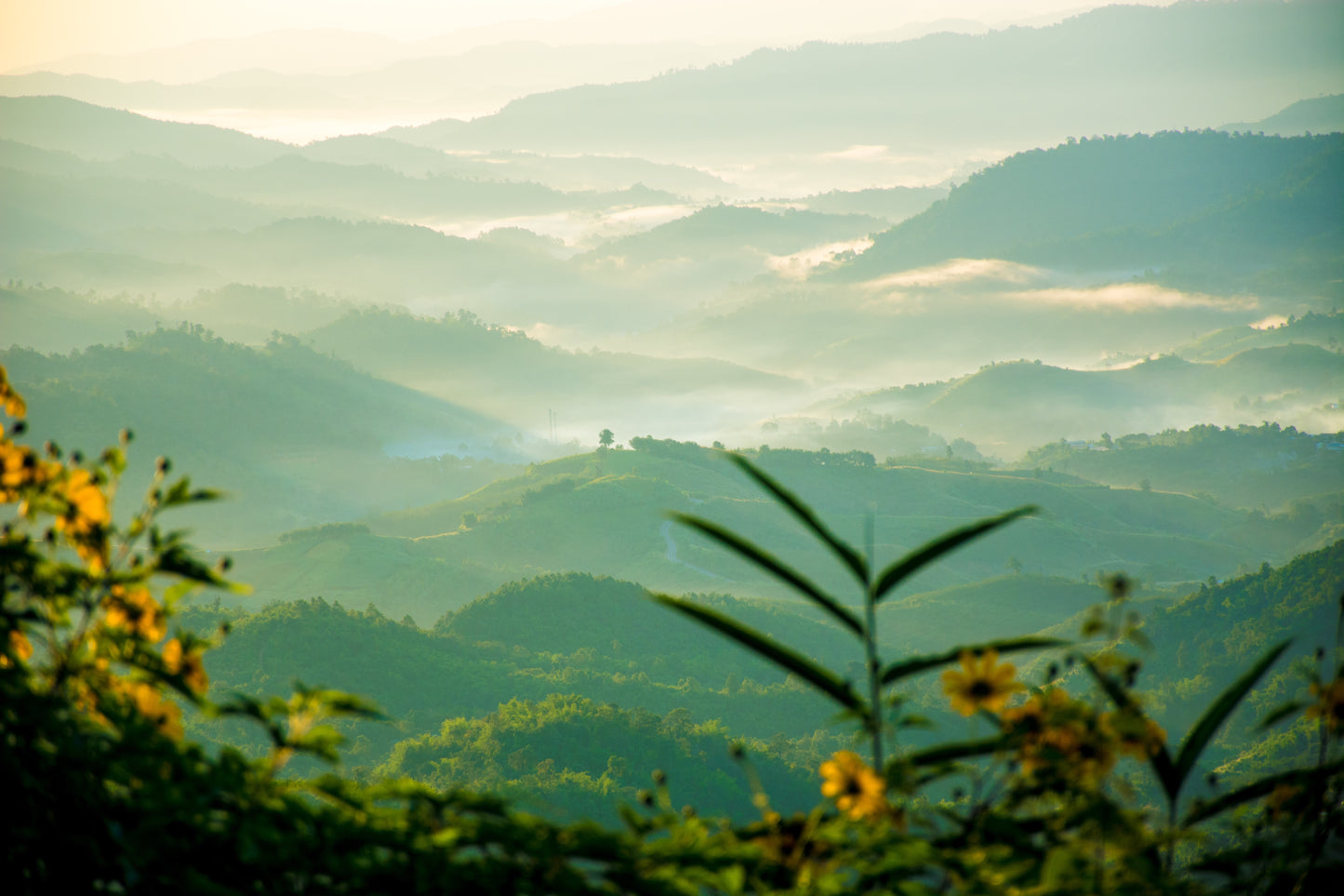 VISITE DE LA PROVINCE DE CHIANGMAI – THAILANDE – 8 JOURS / 7 NUITS