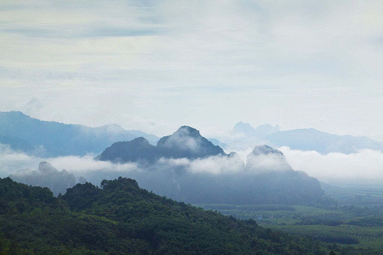 Journée à Khaosok - 1 Day Trip Khao Sok Discovery
