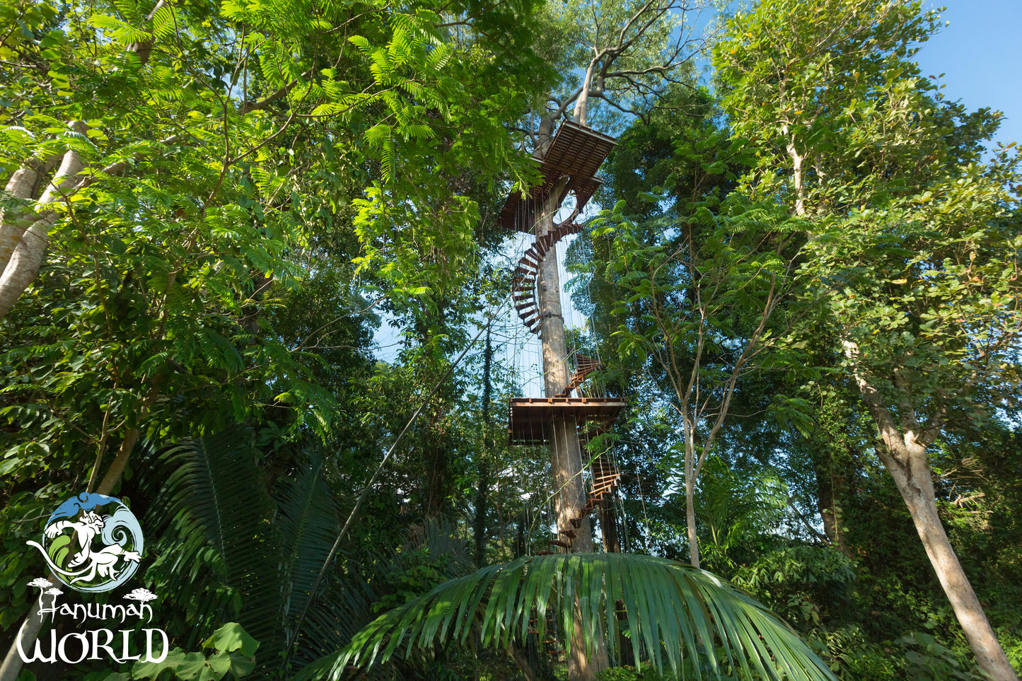 Aventure en Accrobranche