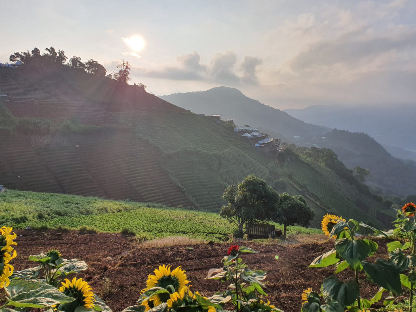 VISITE DE LA PROVINCE DE CHIANGMAI – THAILANDE – 8 JOURS / 7 NUITS