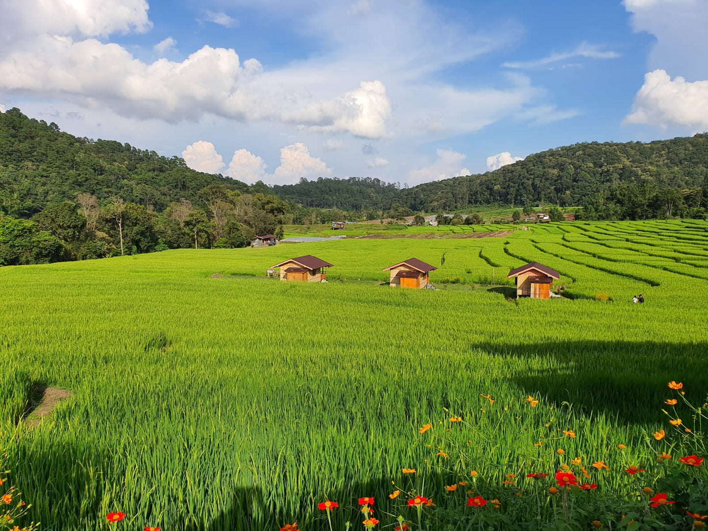 VISITE DE LA PROVINCE DE CHIANGMAI – THAILANDE – 8 JOURS / 7 NUITS