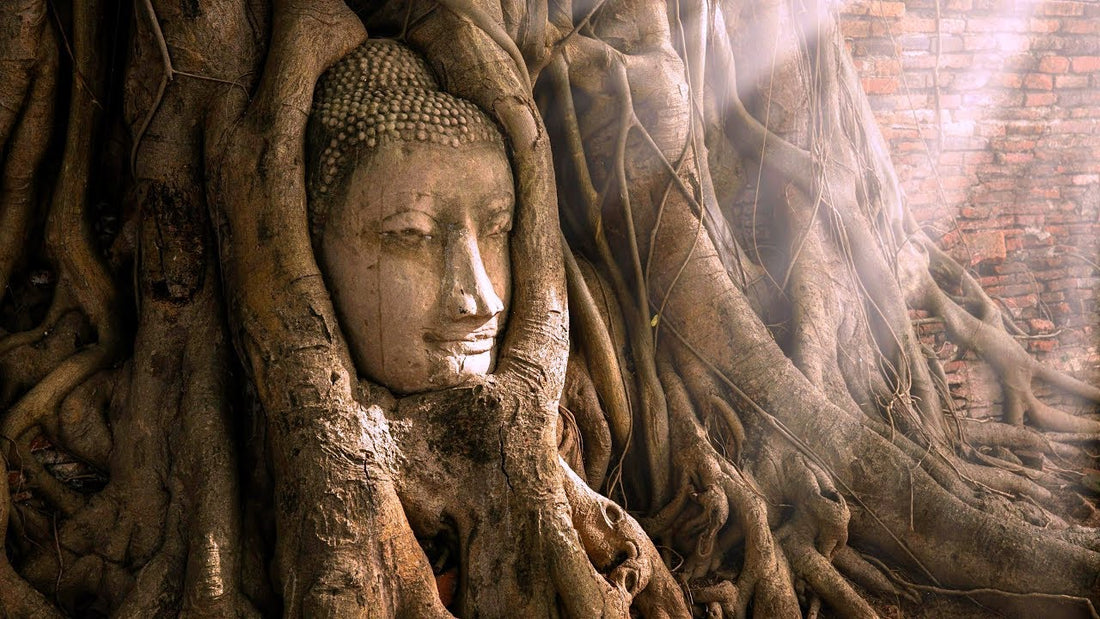 ayutthaya en thailande