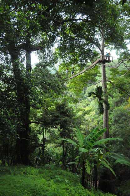 ZIPLINE Aventure Sauvage