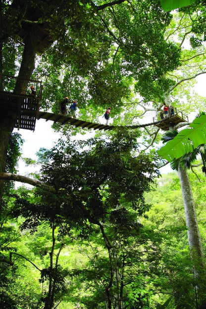 ZIPLINE Aventure Sauvage