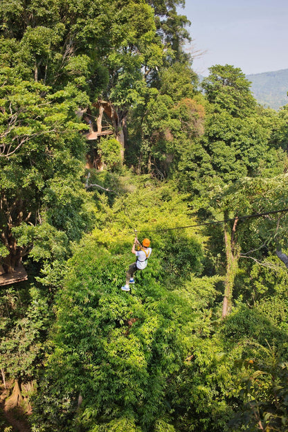 ZIPLINE Aventure Sauvage