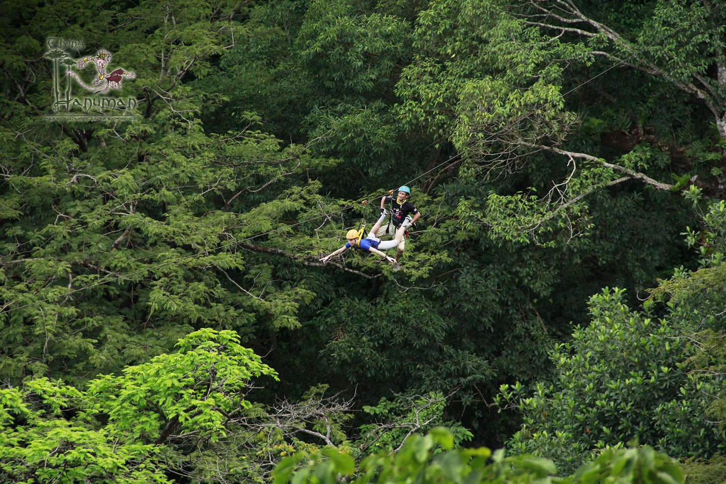 ZIPLINE Aventure Sauvage