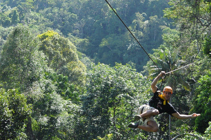 ZIPLINE Aventure Sauvage