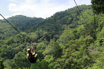 ZIPLINE Aventure Sauvage