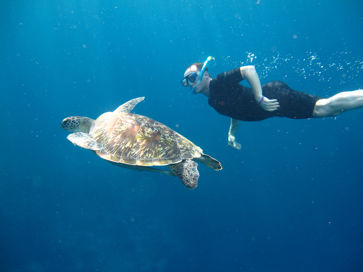 Excursion journée à Similan