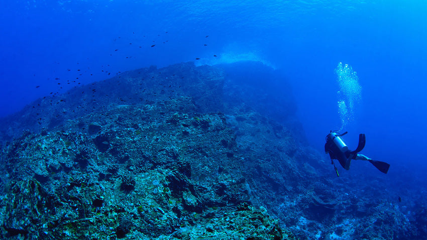 Excursion journée à Similan