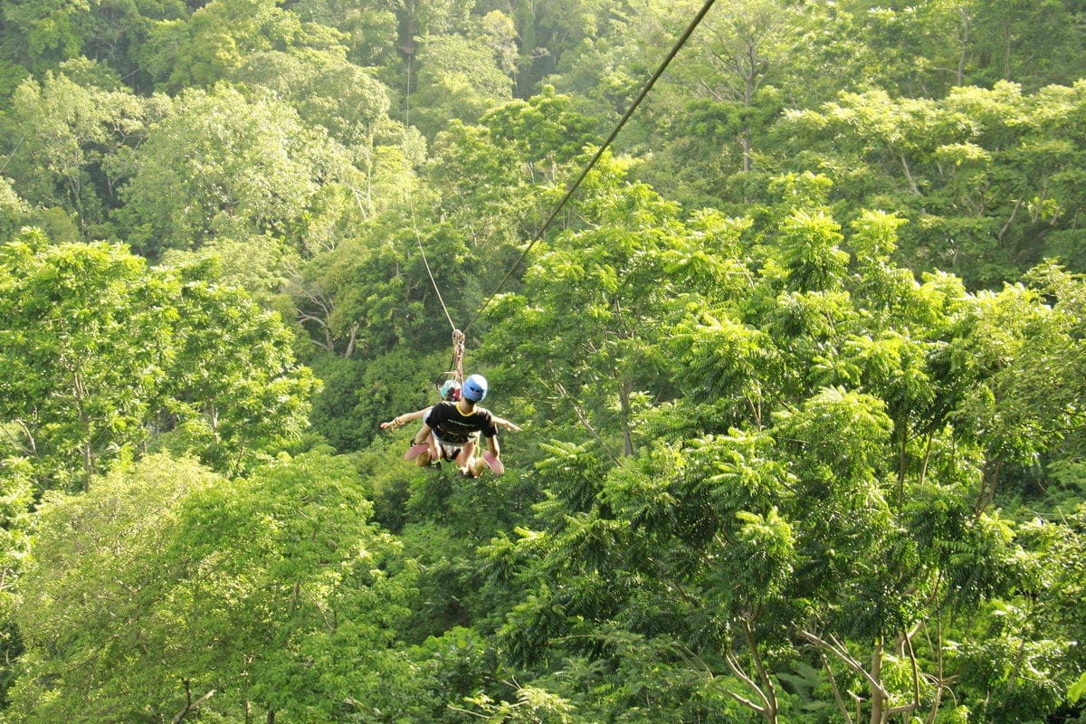 ZIPLINE Aventure Sauvage